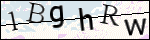 Human Confirmation Code (Captcha)