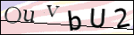 Human Confirmation Code (Captcha)