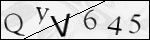 Human Confirmation Code (Captcha)