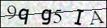 Human Confirmation Code (Captcha)