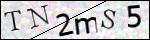 Human Confirmation Code (Captcha)