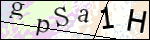 Human Confirmation Code (Captcha)