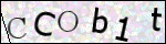 Human Confirmation Code (Captcha)