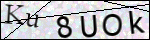 Human Confirmation Code (Captcha)
