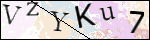 Human Confirmation Code (Captcha)