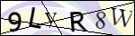 Human Confirmation Code (Captcha)