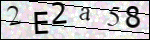 Human Confirmation Code (Captcha)