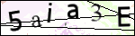 Human Confirmation Code (Captcha)