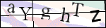 Human Confirmation Code (Captcha)