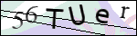 Human Confirmation Code (Captcha)
