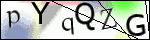 Human Confirmation Code (Captcha)