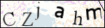 Human Confirmation Code (Captcha)