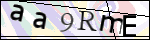Human Confirmation Code (Captcha)