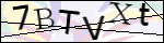 Human Confirmation Code (Captcha)