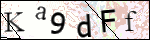Human Confirmation Code (Captcha)