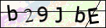 Human Confirmation Code (Captcha)