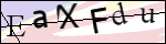 Human Confirmation Code (Captcha)