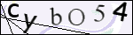 Human Confirmation Code (Captcha)