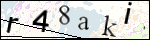 Human Confirmation Code (Captcha)