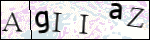 Human Confirmation Code (Captcha)