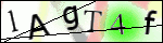 Human Confirmation Code (Captcha)