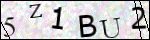Human Confirmation Code (Captcha)