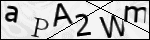 Human Confirmation Code (Captcha)