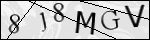 Human Confirmation Code (Captcha)