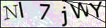 Human Confirmation Code (Captcha)