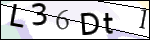 Human Confirmation Code (Captcha)