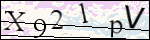 Human Confirmation Code (Captcha)