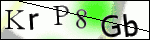 Human Confirmation Code (Captcha)