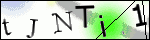 Human Confirmation Code (Captcha)