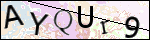 Human Confirmation Code (Captcha)