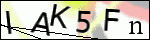Human Confirmation Code (Captcha)