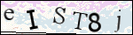 Human Confirmation Code (Captcha)