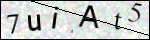 Human Confirmation Code (Captcha)