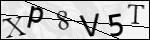 Human Confirmation Code (Captcha)