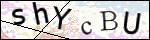Human Confirmation Code (Captcha)