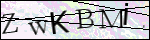 Human Confirmation Code (Captcha)