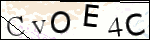 Human Confirmation Code (Captcha)