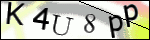 Human Confirmation Code (Captcha)