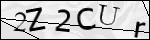 Human Confirmation Code (Captcha)