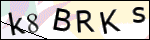 Human Confirmation Code (Captcha)
