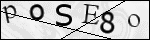 Human Confirmation Code (Captcha)