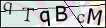 Human Confirmation Code (Captcha)