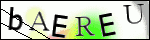 Human Confirmation Code (Captcha)