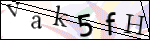 Human Confirmation Code (Captcha)