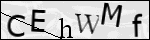 Human Confirmation Code (Captcha)