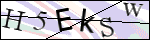 Human Confirmation Code (Captcha)